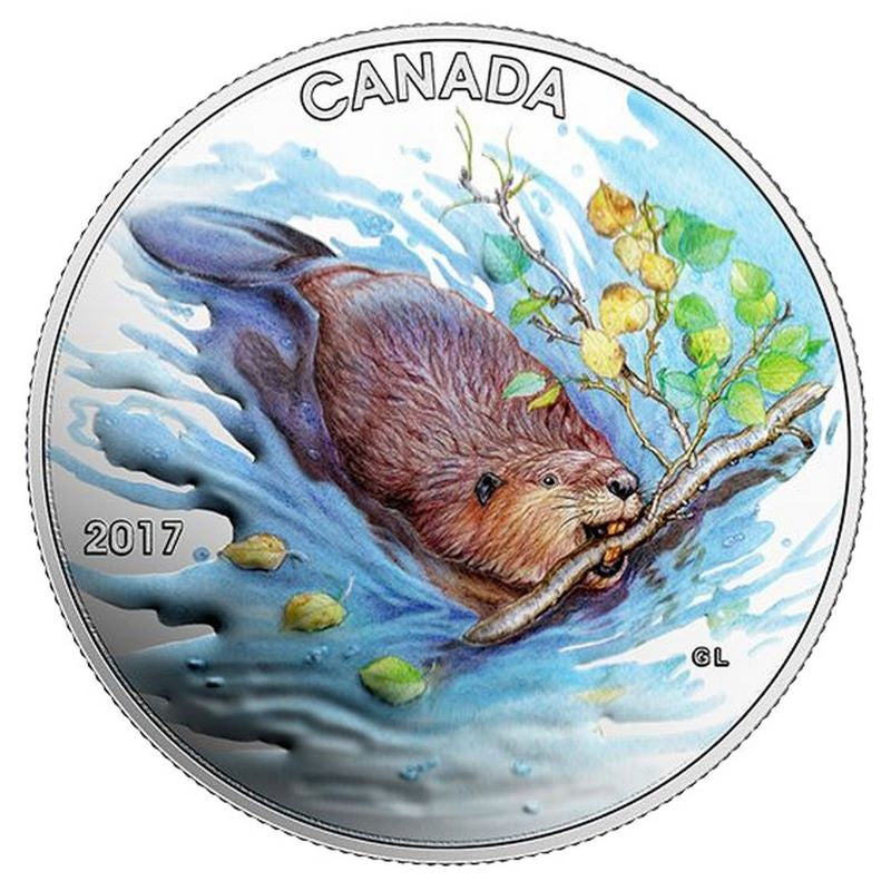 Fine Silver Coin with Colour - Iconic Canada: The Beaver Reverse