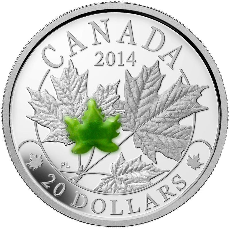 Fine Silver Coin with Jade Element - Majestic Maple Leaves with Jade Reverse
