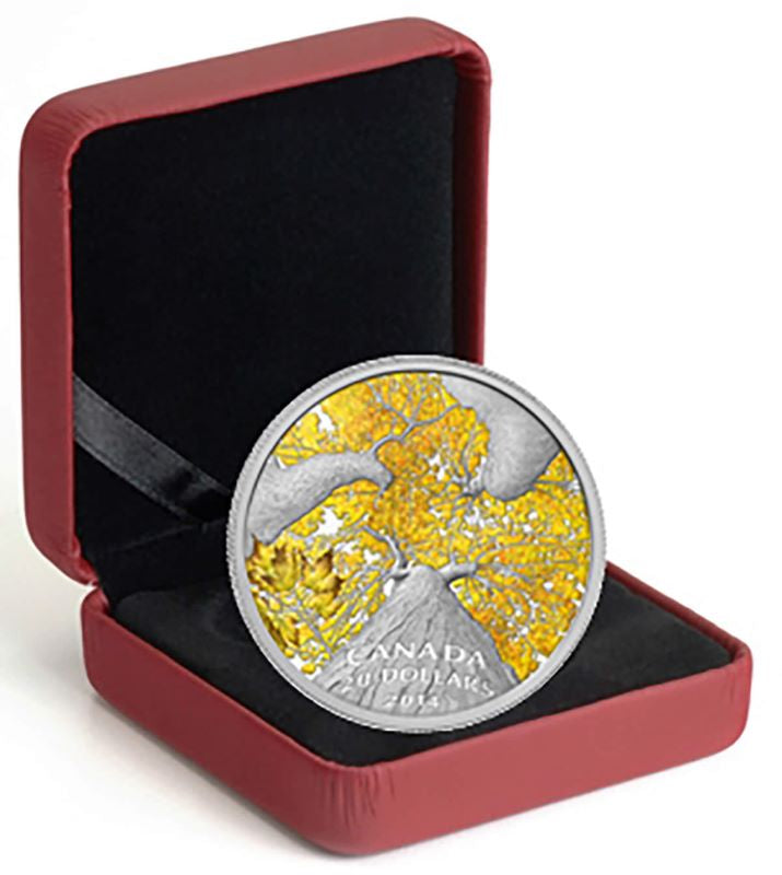 Fine Silver Coin with Colour - Maple Canopy: Autumn Allure Packaging