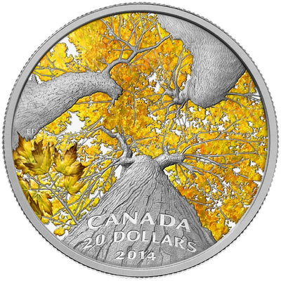 Fine Silver Coin with Colour - Maple Canopy: Autumn Allure Reverse