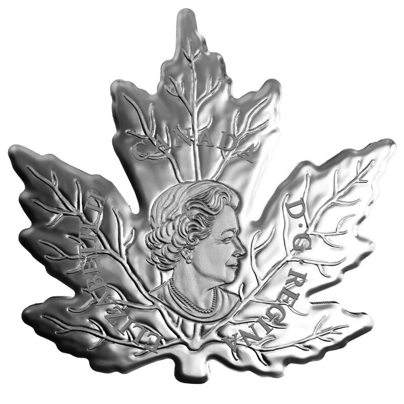 Fine Silver Coin - Maple Leaf Silhouette: Canada Geese Obverse