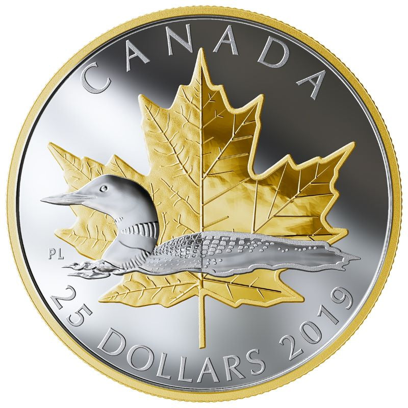 Fine Silver Piedfort Coin with Gold Plating - Timeless Icons: Loon Reverse