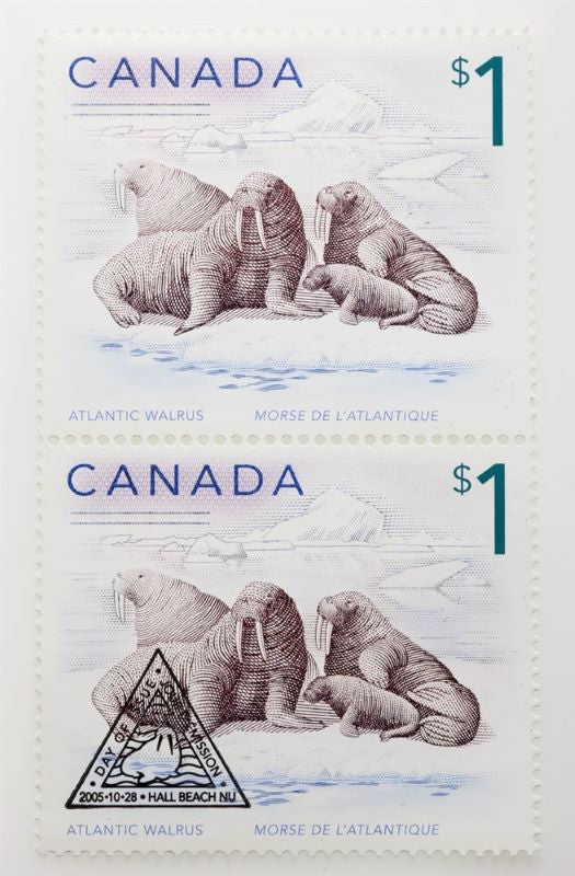 Fine Silver Coin and Stamp Set - Atlantic Walrus and Calf Stamp