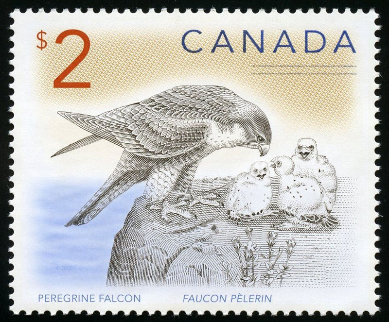 Fine Silver Coin and Stamp Set - Peregrine Falcon and Nestlings Stamp