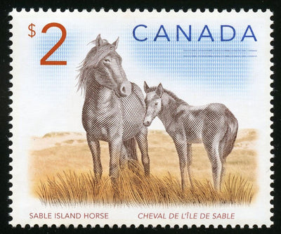 Fine Silver Coin and Stamp Set - Sable Island Horse and Foal Stamp