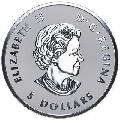 Fine Silver 4 Coin Set - Fractional Maple Leaf Tribute Obverse