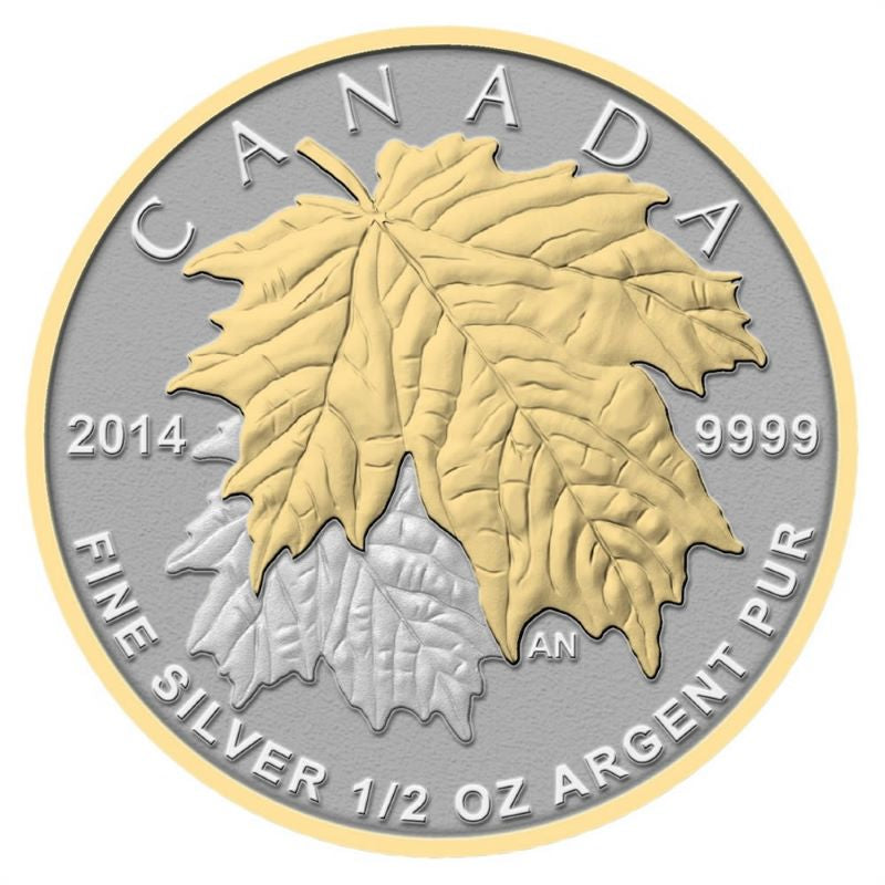 Fine Silver 5 Coin Set with Gold Plating - Fractional Maple Leaf Reverse