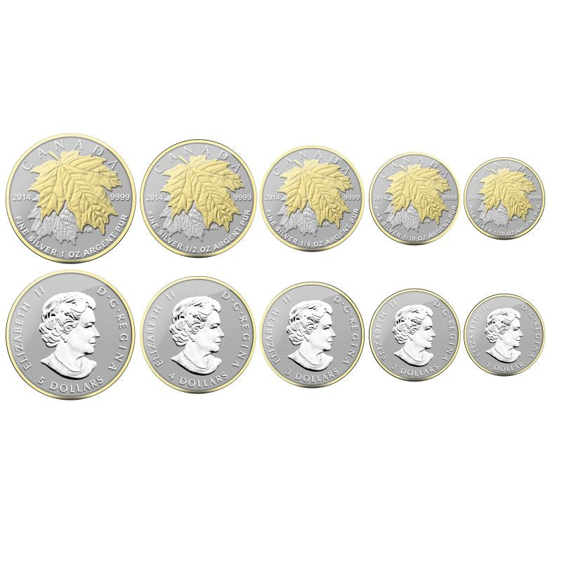 Fine Silver 5 Coin Set with Gold Plating - Fractional Maple Leaf
