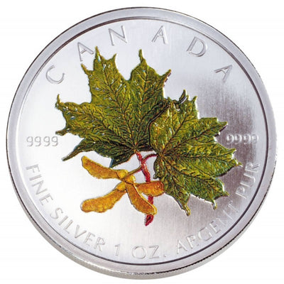 Fine Silver Coin with Colour - Coloured Maple Leaf Reverse