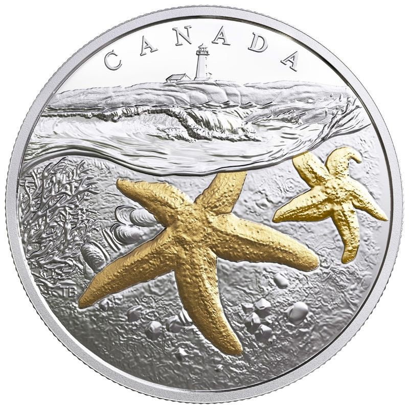 Fine Silver Coin with Gold Plating - From Sea To Sea To Sea: Atlantic Starfish Reverse