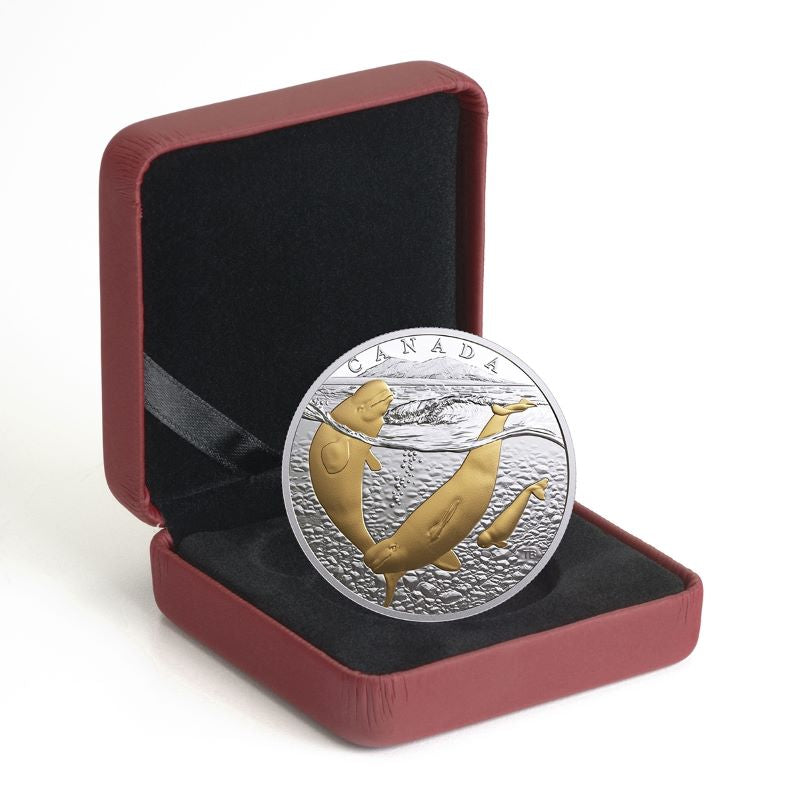 Fine Silver Coin with Gold Plating - From Sea To Sea To Sea: Arctic Beluga Whale Packaging