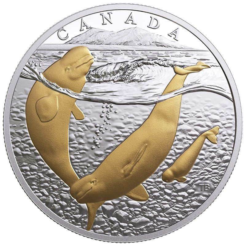 Fine Silver Coin with Gold Plating - From Sea To Sea To Sea: Arctic Beluga Whale Reverse