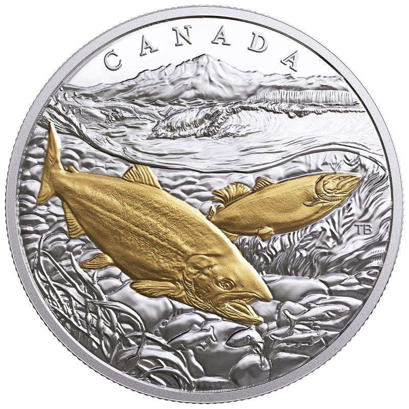 Fine Silver Coin with Gold Plating - From Sea To Sea To Sea: Pacific Salmon Reverse