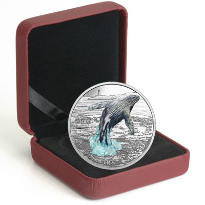 Fine Silver Coin with Colour - Three-Dimensional Breaching Whale Packaging