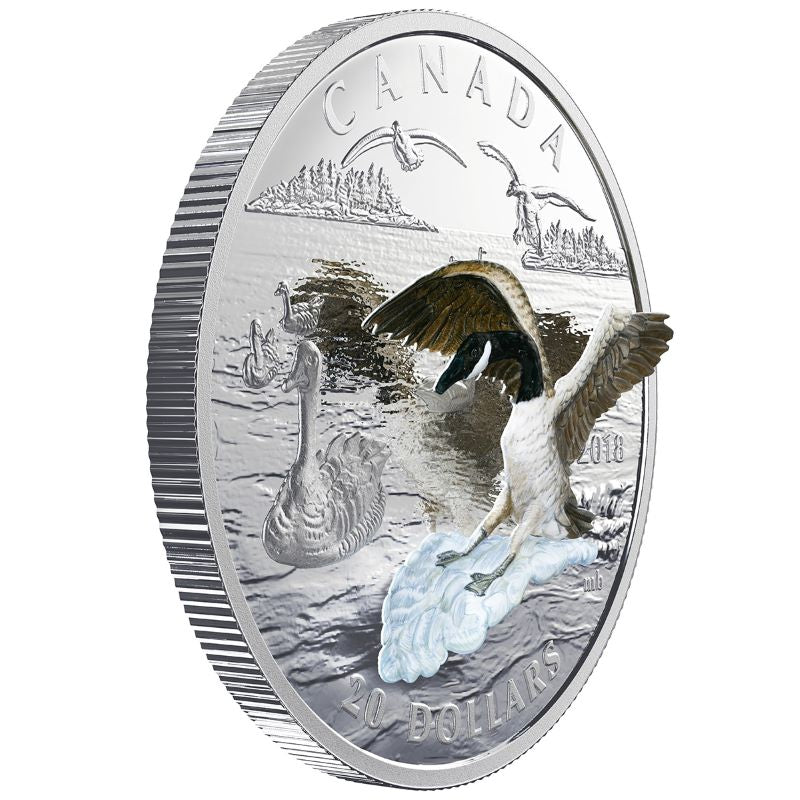 Fine Silver Coin with Colour - Three-Dimensional Approaching Canada Goose Edge