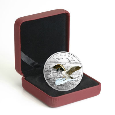Fine Silver Coin with Colour - Three-Dimensional Approaching Canada Goose Packaging