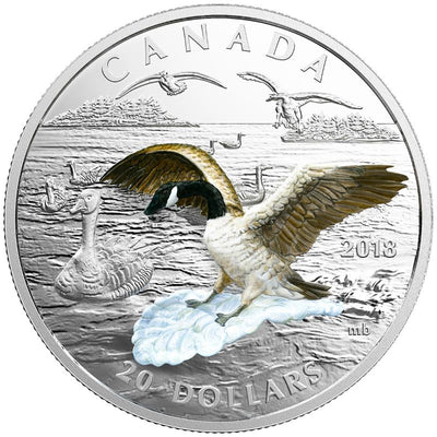 Fine Silver Coin with Colour - Three-Dimensional Approaching Canada Goose Reverse