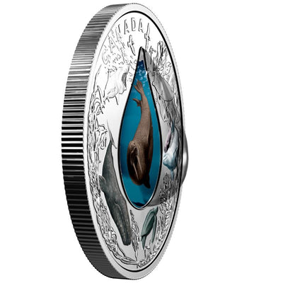 Fine Silver Coin with Colour and Glass Element - Canadian Underwater Life