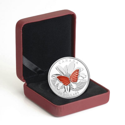 Fine Silver Coin with Glass Element - The Colourful Wings of a Butterfly Packaging