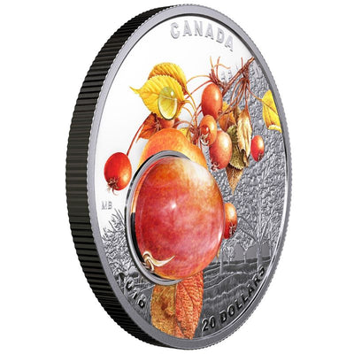 Fine Silver Coin with Colour and 3D Element - Mother Nature's Magnification: Morning Dew Reverse