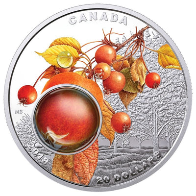 Fine Silver Coin with Colour and 3D Element - Mother Nature's Magnification: Morning Dew Reverse