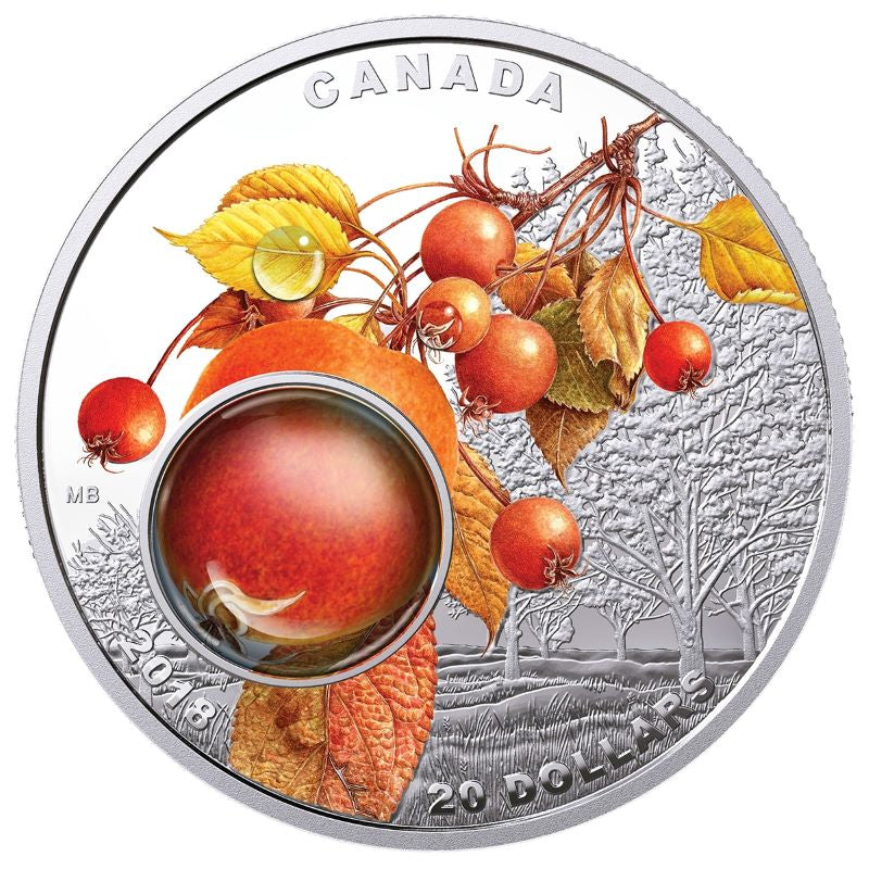 Fine Silver Coin with Colour and 3D Element - Mother Nature&