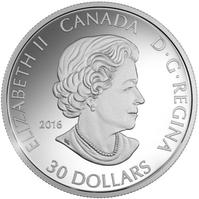 Fine Silver Coin - Pop Art: Celebrating the Canada Goose Obverse