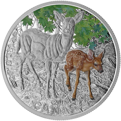 Fine Silver Coin with Colour - Baby Animals: White-tailed Deer Reverse