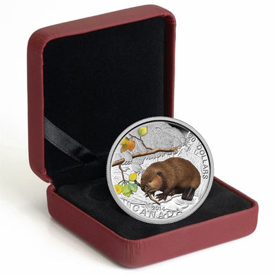 Fine Silver Coin with Colour - Baby Animals: The Beaver Packaging