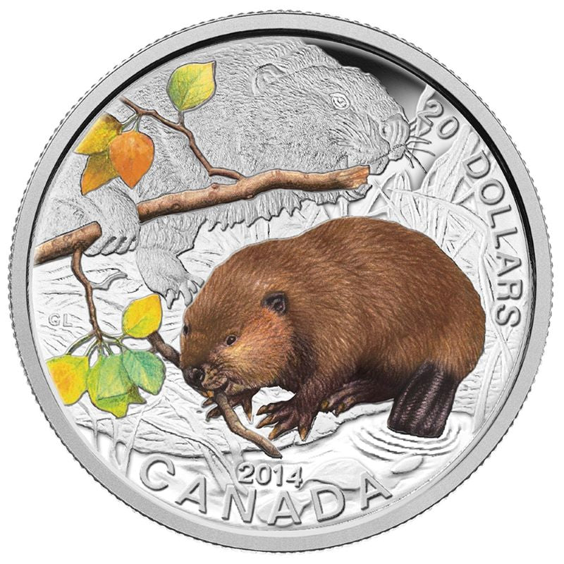 Fine Silver Coin with Colour - Baby Animals: The Beaver Reverse