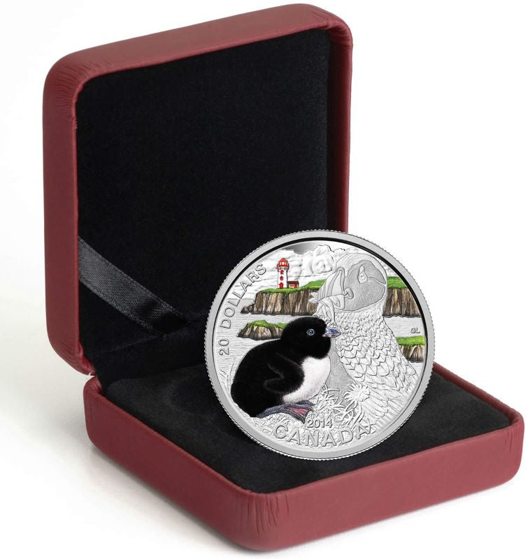 Fine Silver Coin with Colour - Baby Animals: Atlantic Puffin Packaging