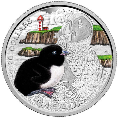 Fine Silver Coin with Colour - Baby Animals: Atlantic Puffin Reverse
