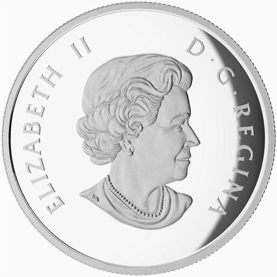 Fine Silver Coin with Colour - Four-Leaf Clover Obverse