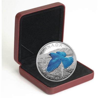 Fine Silver Coin with Colour - The Migratory Birds Convention 100 Years of Protection: The Mountain Bluebird Packaging