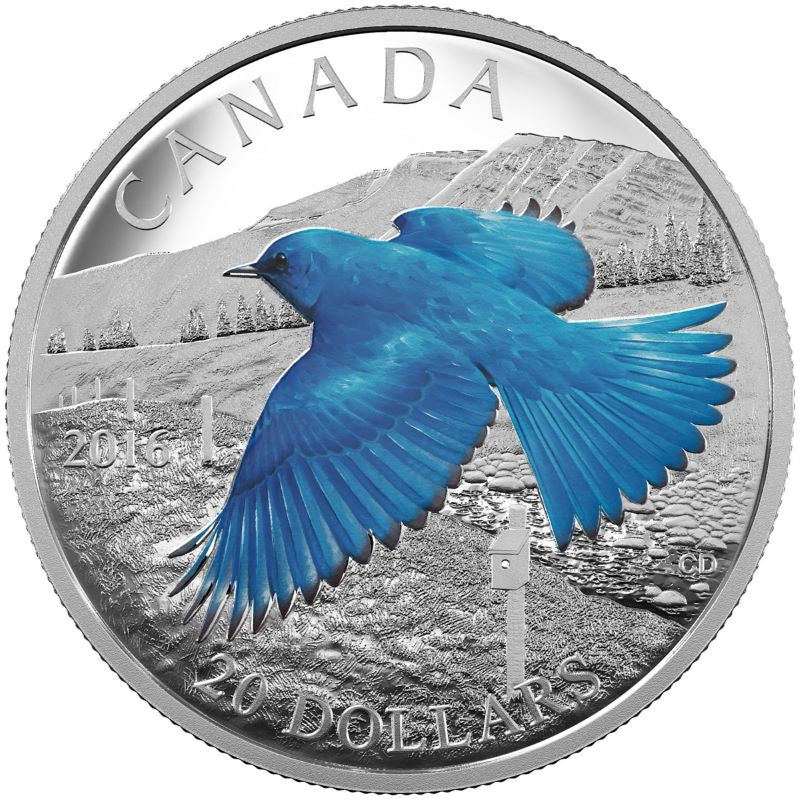 Fine Silver Coin with Colour - The Migratory Birds Convention 100 Years of Protection: The Mountain Bluebird Reverse