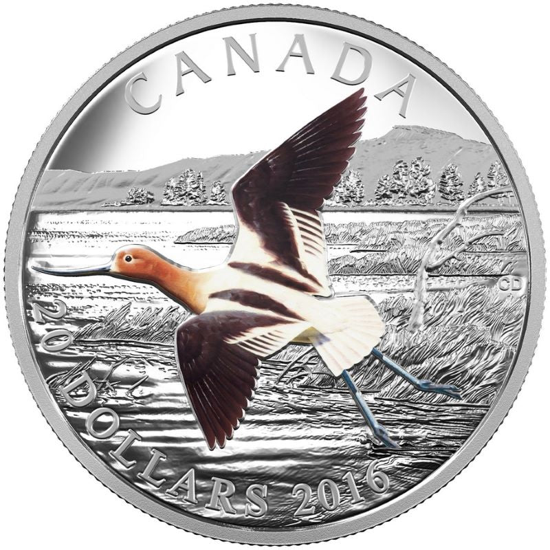 Fine Silver Coin with Colour - The Migratory Birds Convention 100 Years of Protection: The American Avocet Reverse