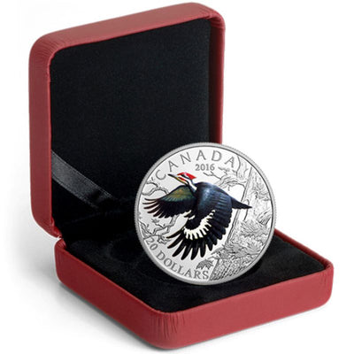 Fine Silver Coin with Colour - The Migratory Birds Convention 100 Years of Protection: The Pileated Woodpecker Packaging