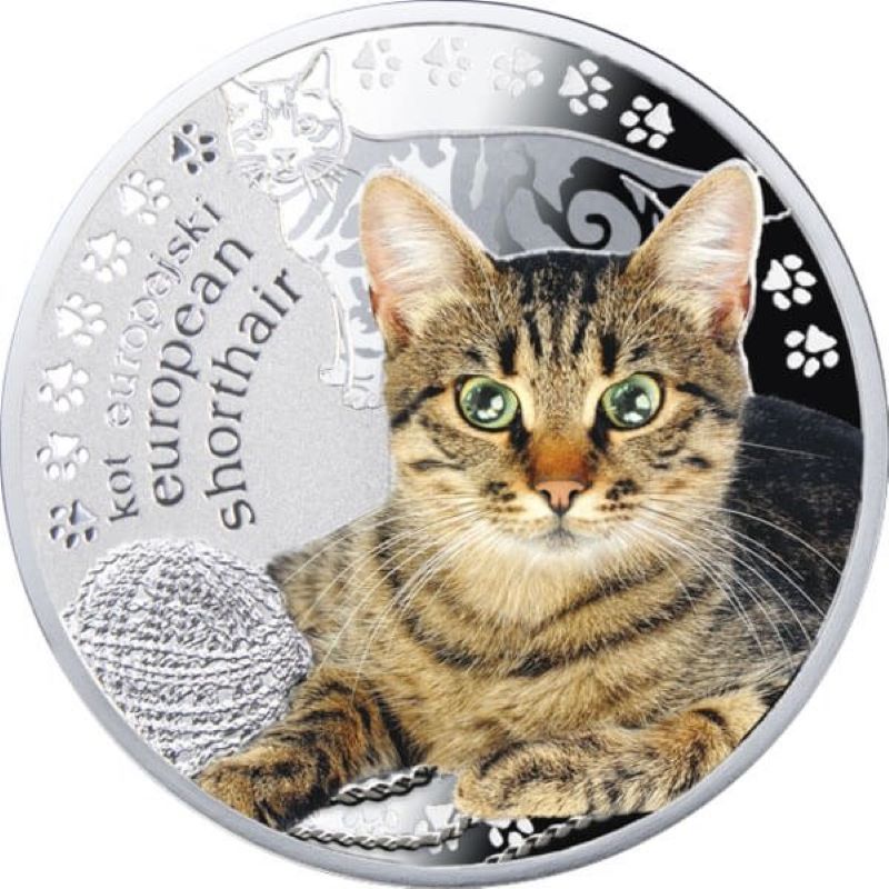 Fine Silver Coin with Colour and Swarovski Crystal: European Shorthair Cat Reverse
