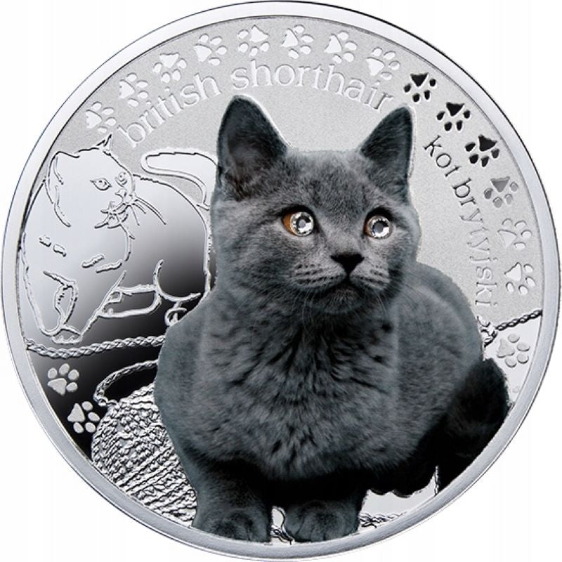 Fine Silver Coin with Colour and Swarovski Crystal: British Shorthair Cat Reverse