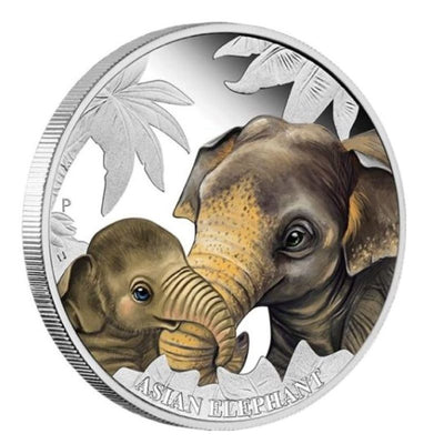 Fine Silver Coin with Colour - Mother's Love: Elephants Reverse