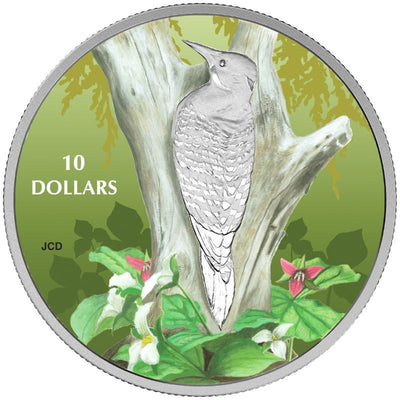 Fine Silver 5 Coin Set with Colour - Birds Among Natures' Colours: Northern Flicker Reverse