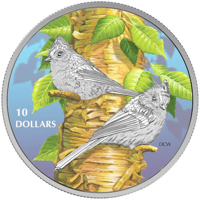 Fine Silver 5 Coin Set with Colour - Birds Among Natures' Colours: Tufted Titmouse Reverse