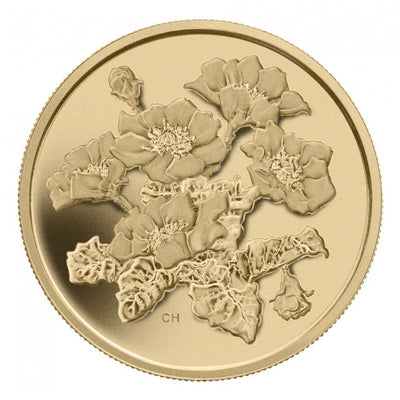 Pure Gold Coin - Mountain Avens Reverse