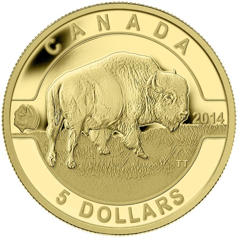 Pure Gold Coin - Bison Reverse