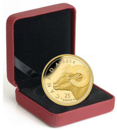 Pure Gold Coin - Rocky Mountain Bighorn Sheep Packaging