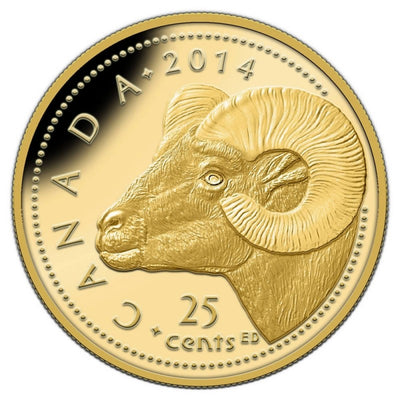 Pure Gold Coin - Rocky Mountain Bighorn Sheep Reverse