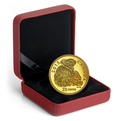 Pure Gold Coin - Rock Rabbit Packaging