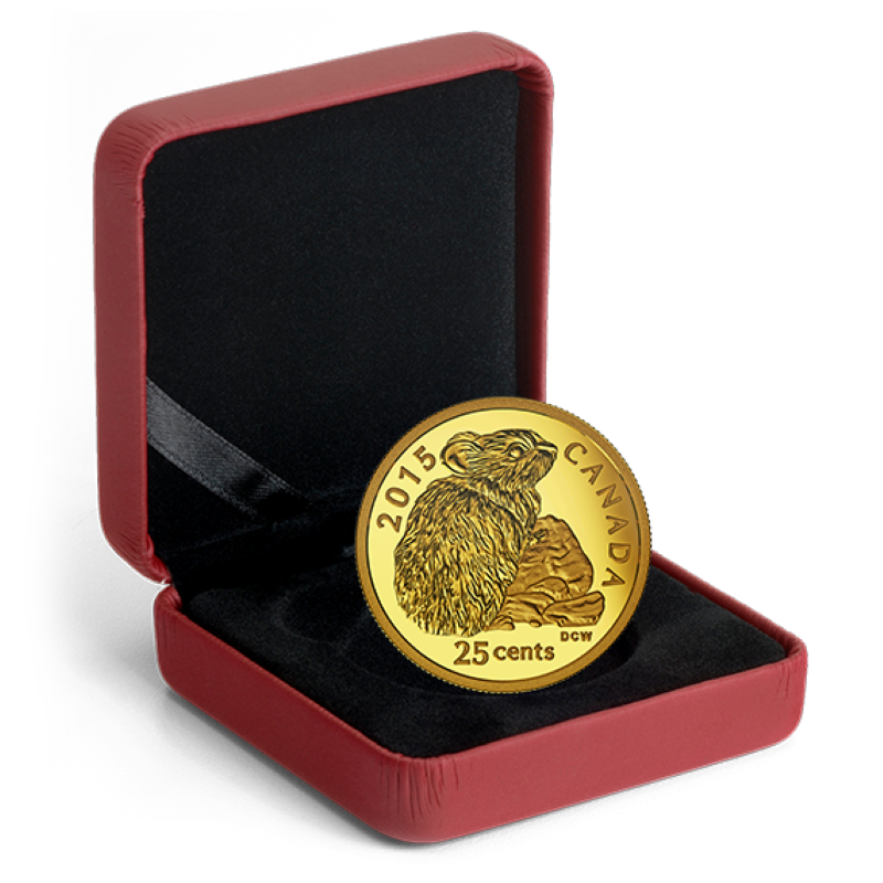 Pure Gold Coin - Rock Rabbit Packaging