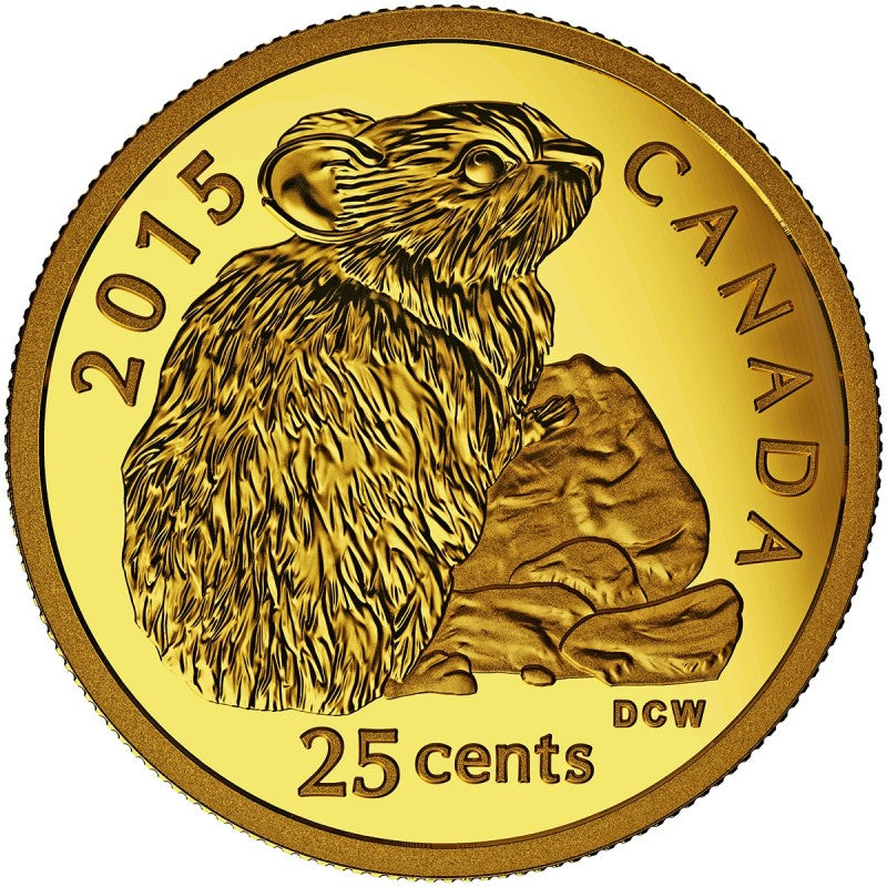 Pure Gold Coin - Rock Rabbit Reverse