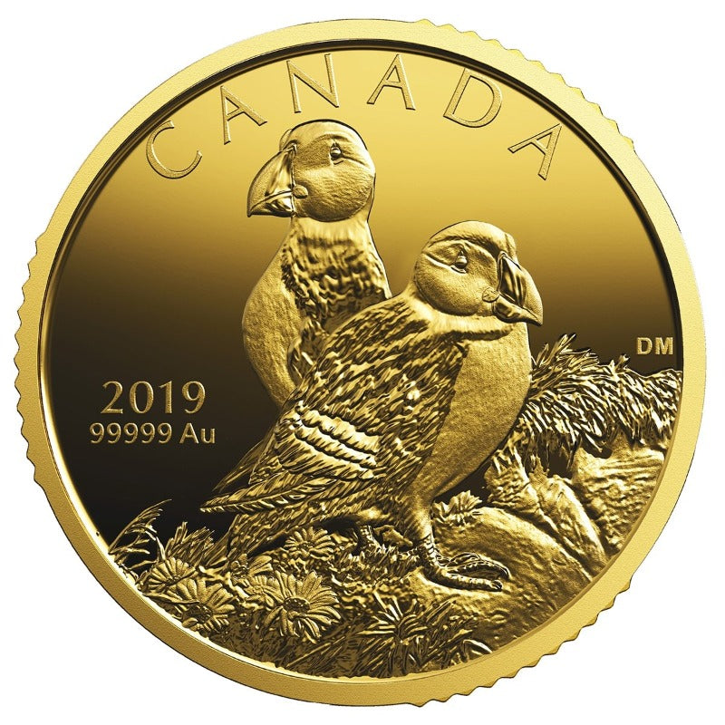 Pure Gold Coin - Atlantic Puffins (reverse)
